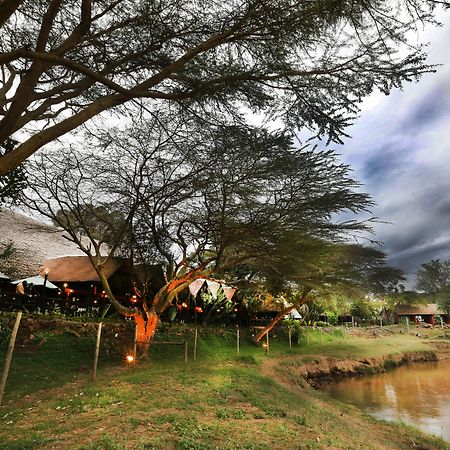 Mara River Lodge Aitong 외부 사진