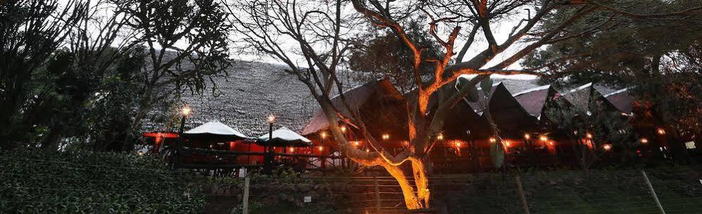 Mara River Lodge Aitong 외부 사진